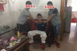 灵丘企业清欠服务